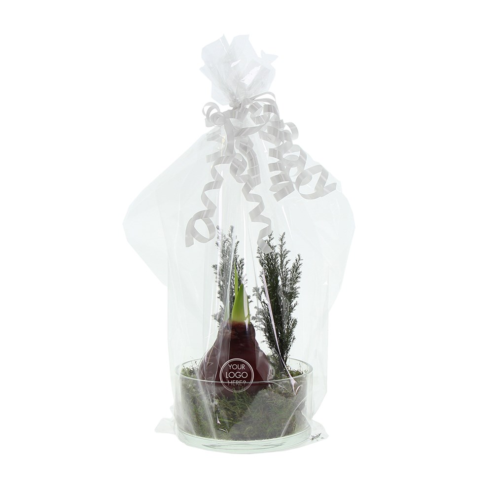 No Water Flowers® - Christmas glass elegance, Zonder verpakking, Lichtgroen