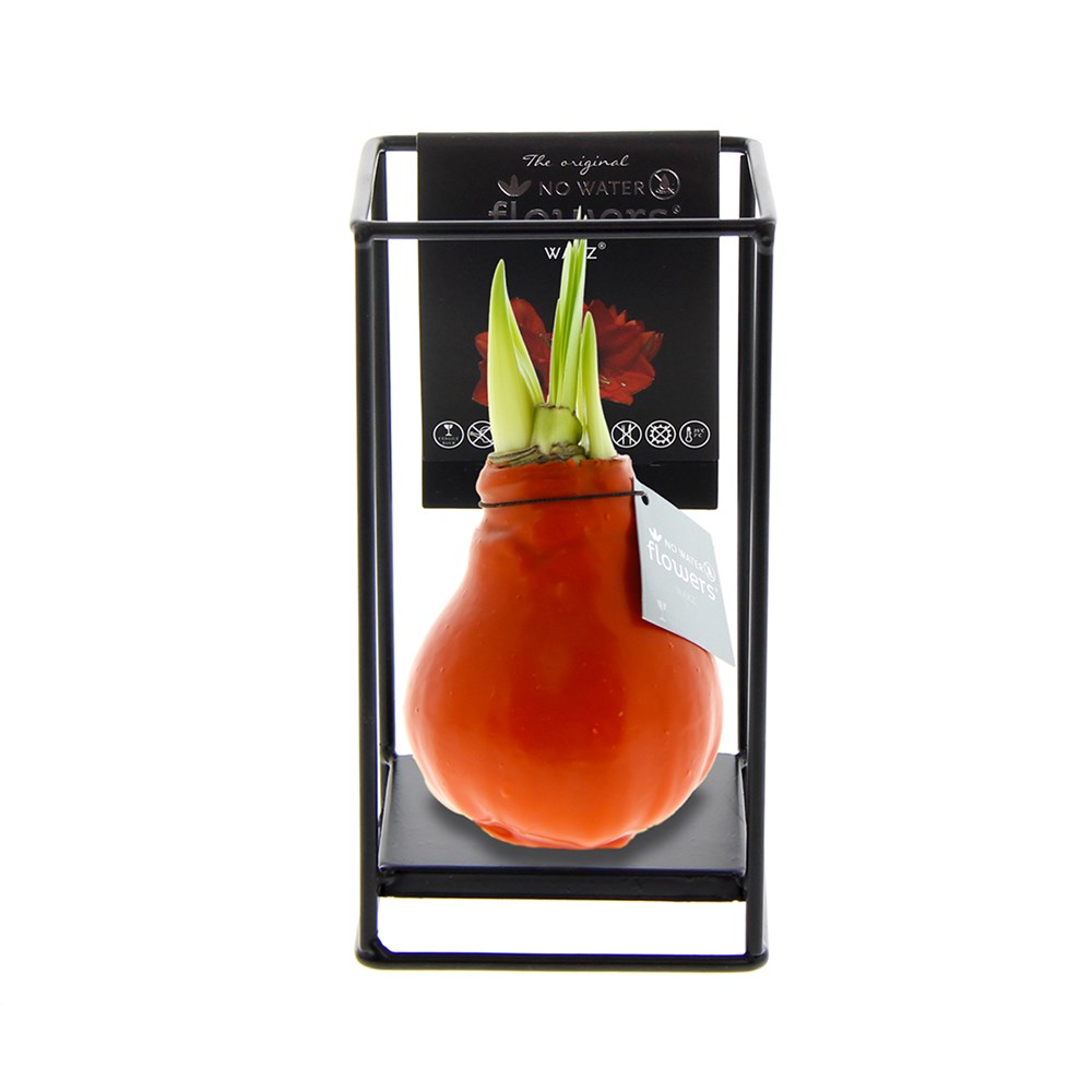 No Water Flowers® - Formz industrial - Oranje