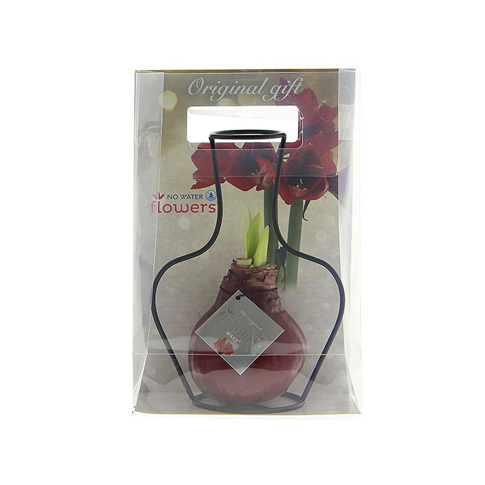 No Water Flowers® - Formz classic, Zonder verpakking, Zwart