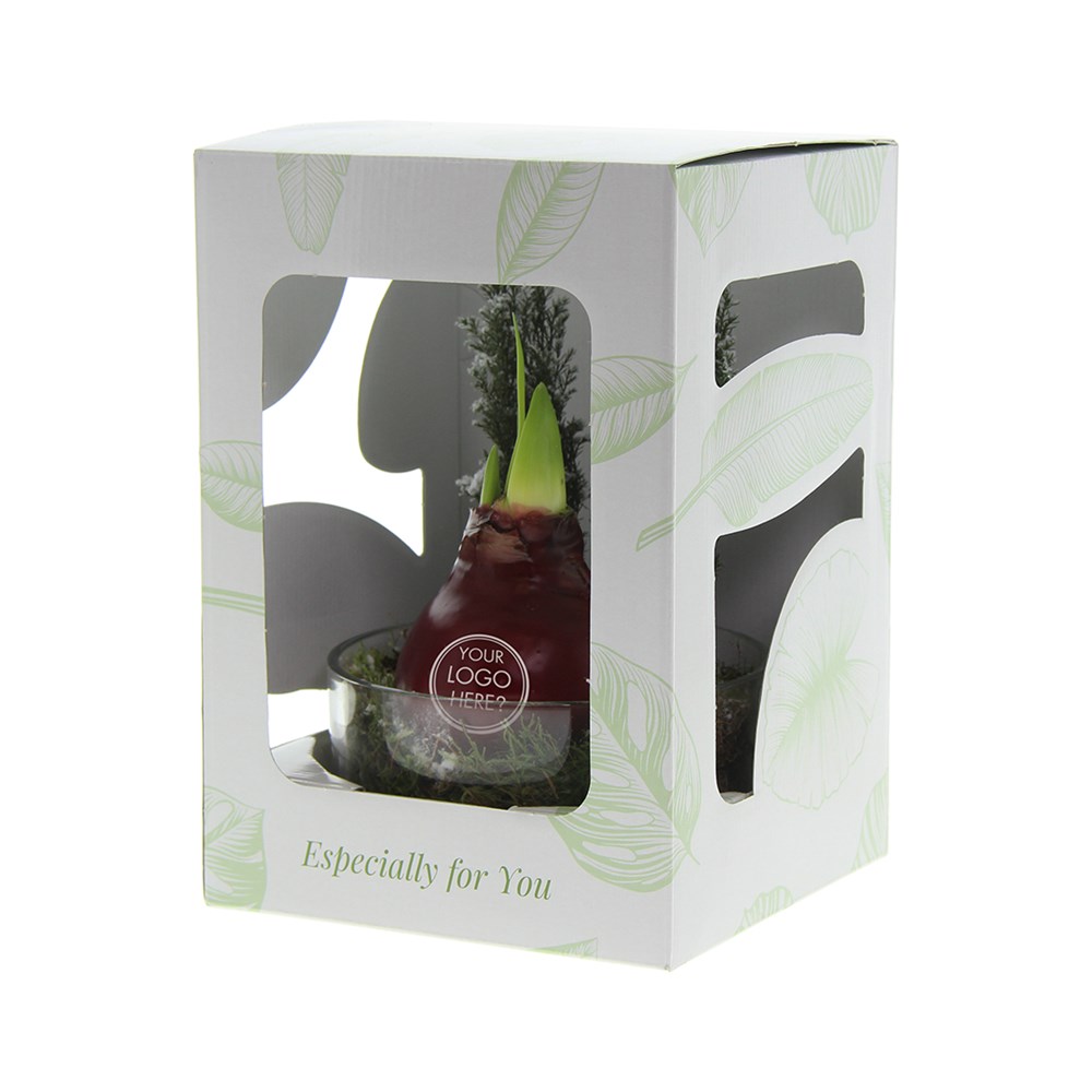 No Water Flowers® - Christmas glass elegance, Zonder verpakking, Lichtgroen