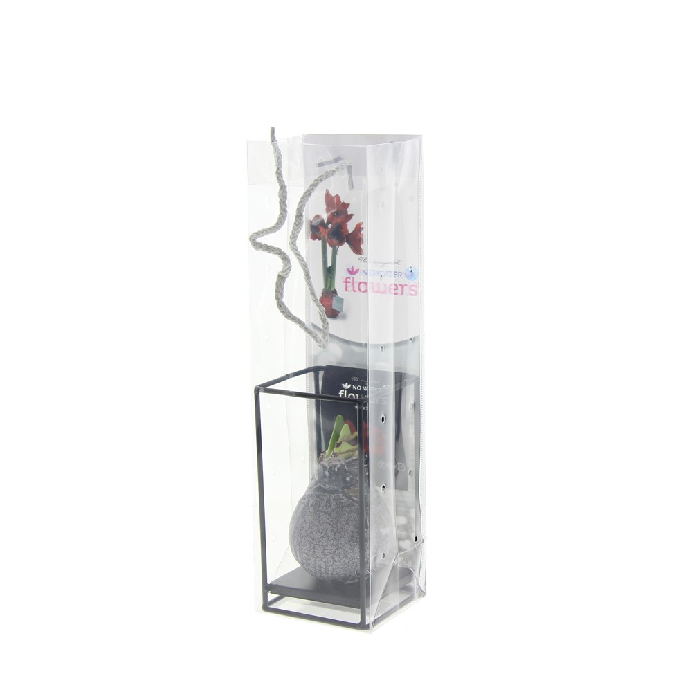 No Water Flowers® - Formz industrial, In giftbag, Wit