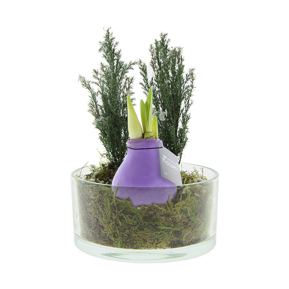No Water Flowers® - Christmas glass elegance - Pastel paars