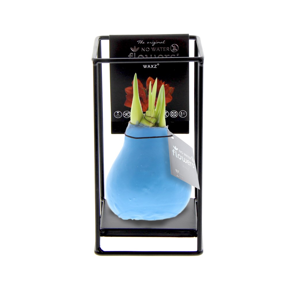 No Water Flowers® - Formz industrial - pastel blauw