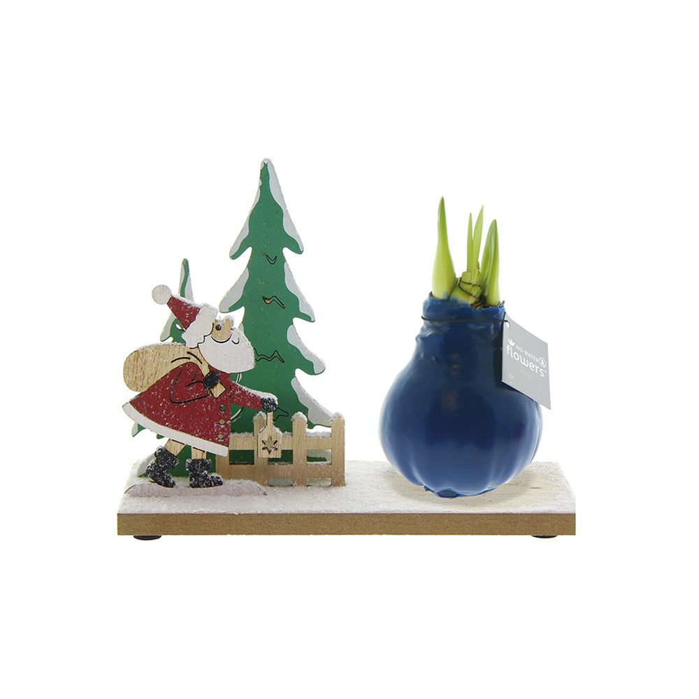 No Water Flowers® - Winter Wonderland - donkerblauw