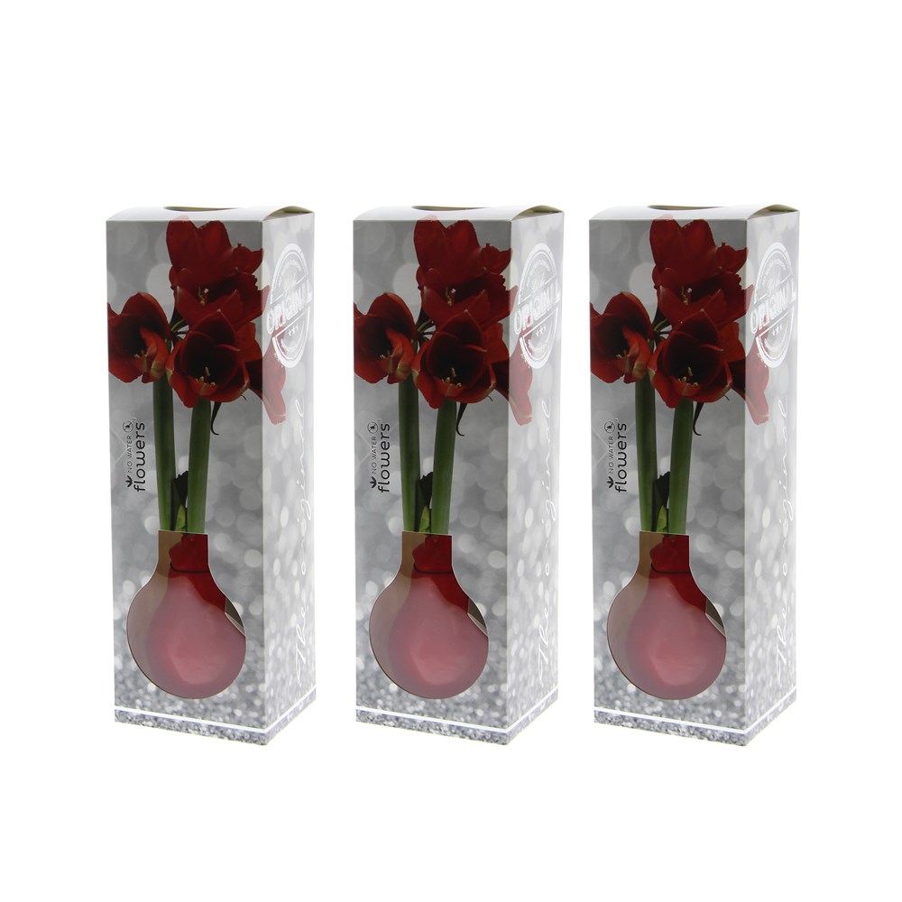 No Water Flowers® - Formz modern, In luxury box, Bordeaux