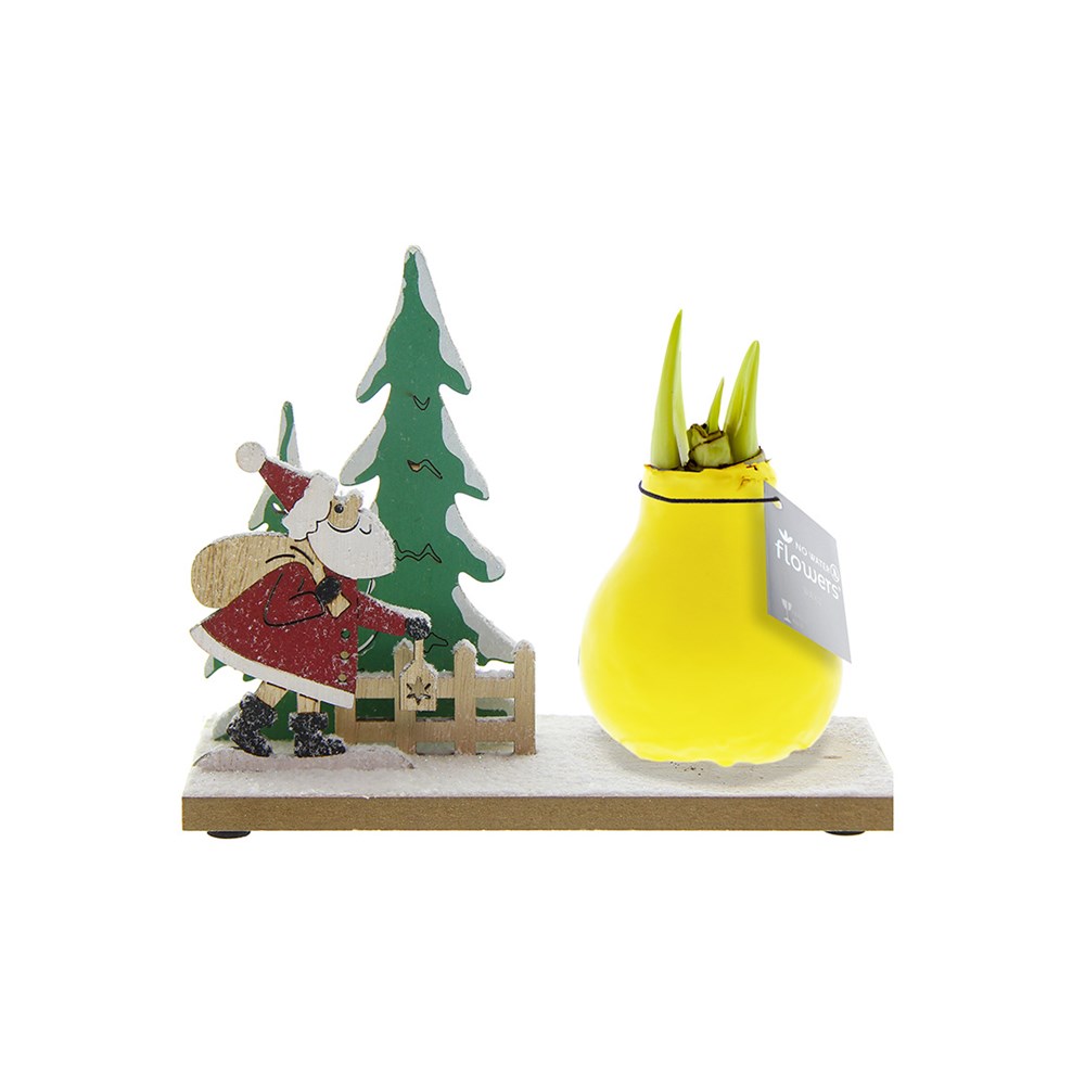 No Water Flowers® - Winter Wonderland - geel