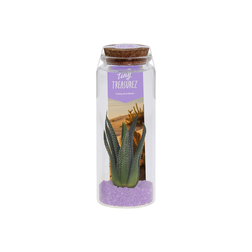 Tiny Treasurez® - Message in a bottle large - Paars
