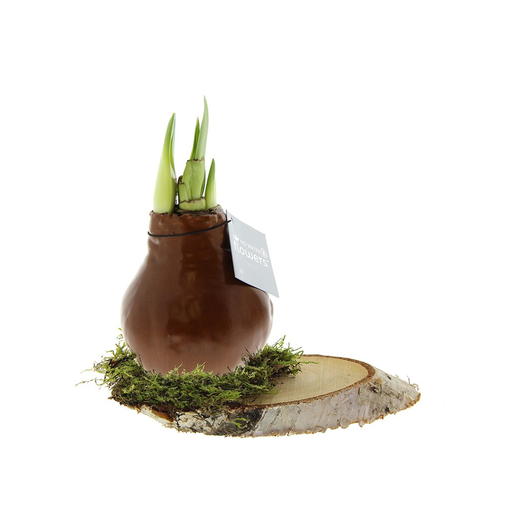 No Water Flowers® - Waxz® on wood - Koper