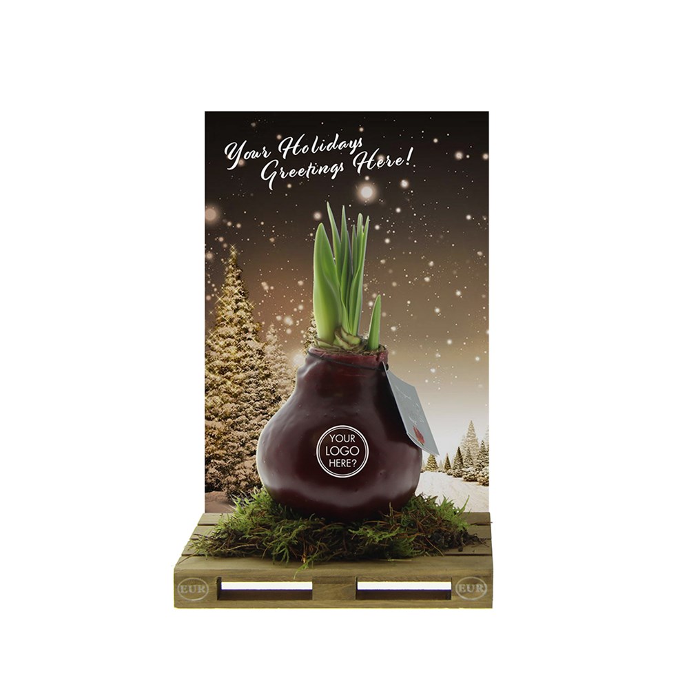 No Water Flowers® - Waxz® on pallet, In giftbox, Pastel groen
