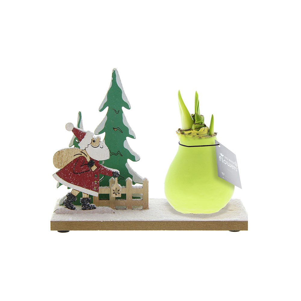 No Water Flowers® - Winter Wonderland - pastel groen