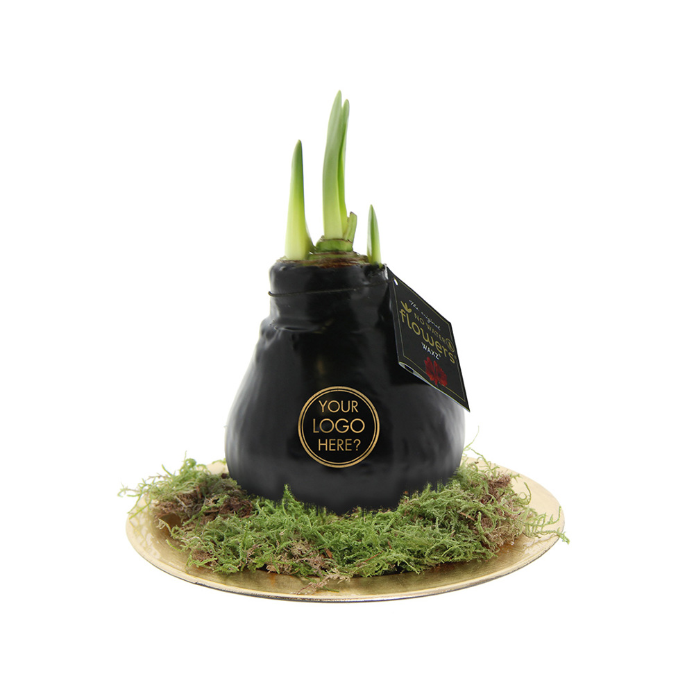 No Water Flowers® - Waxz® on golden dish