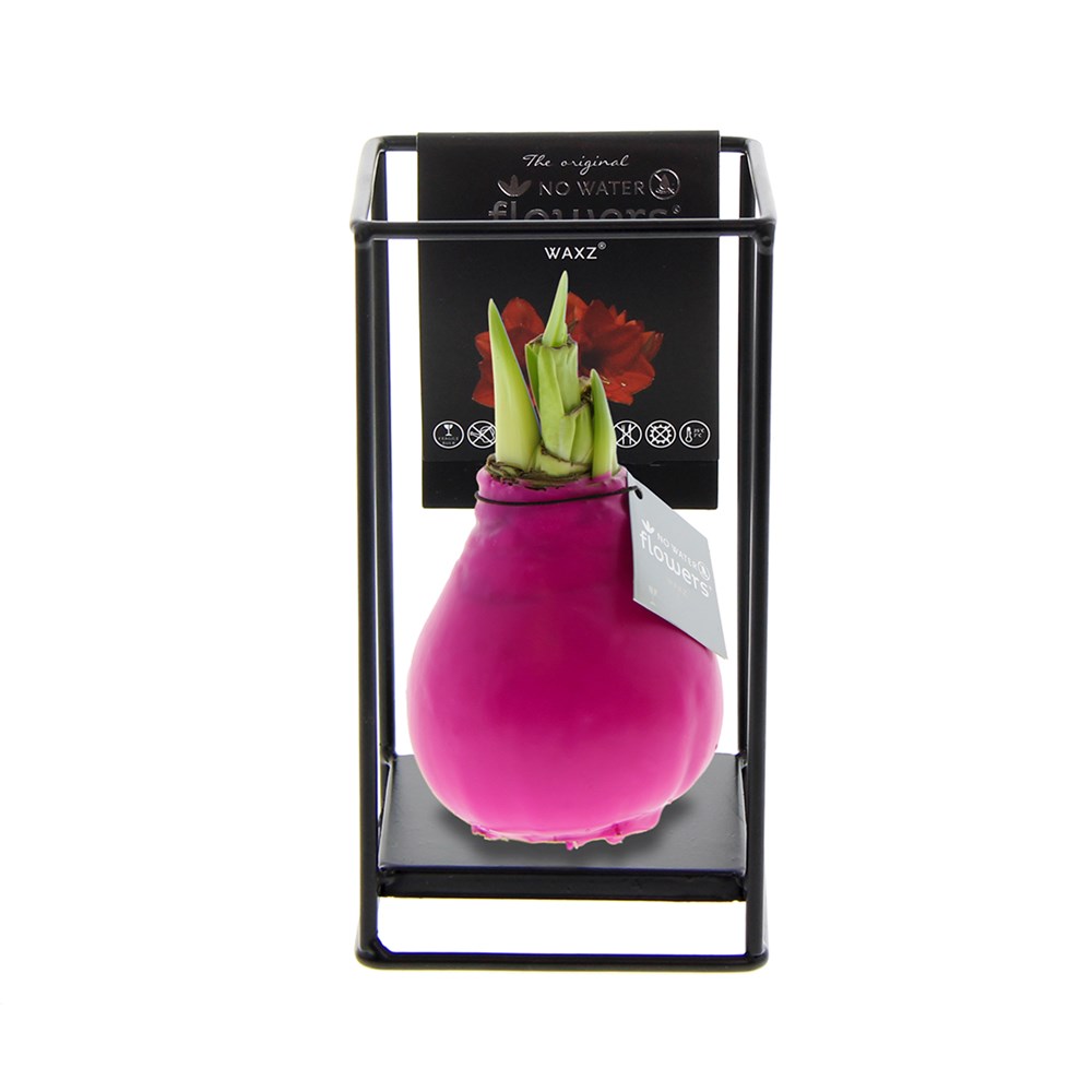 No Water Flowers® - Formz industrial - roze