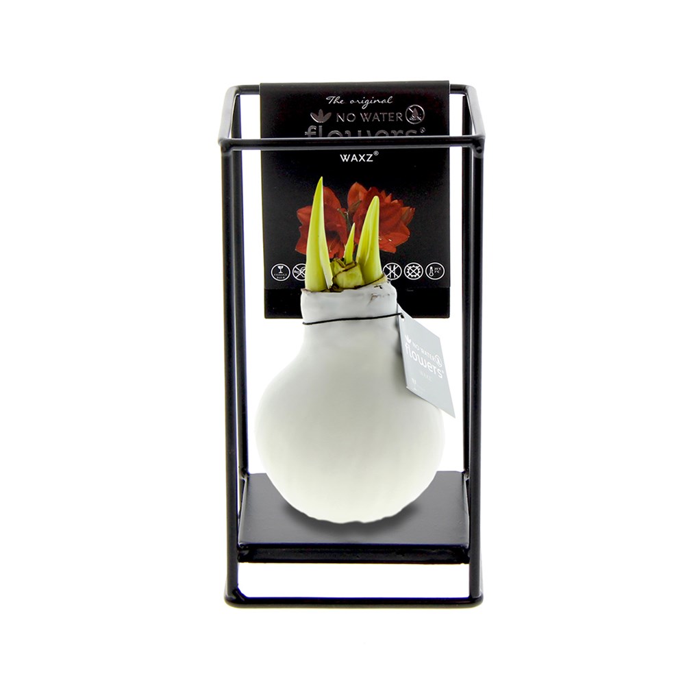 No Water Flowers® - Formz industrial - wit