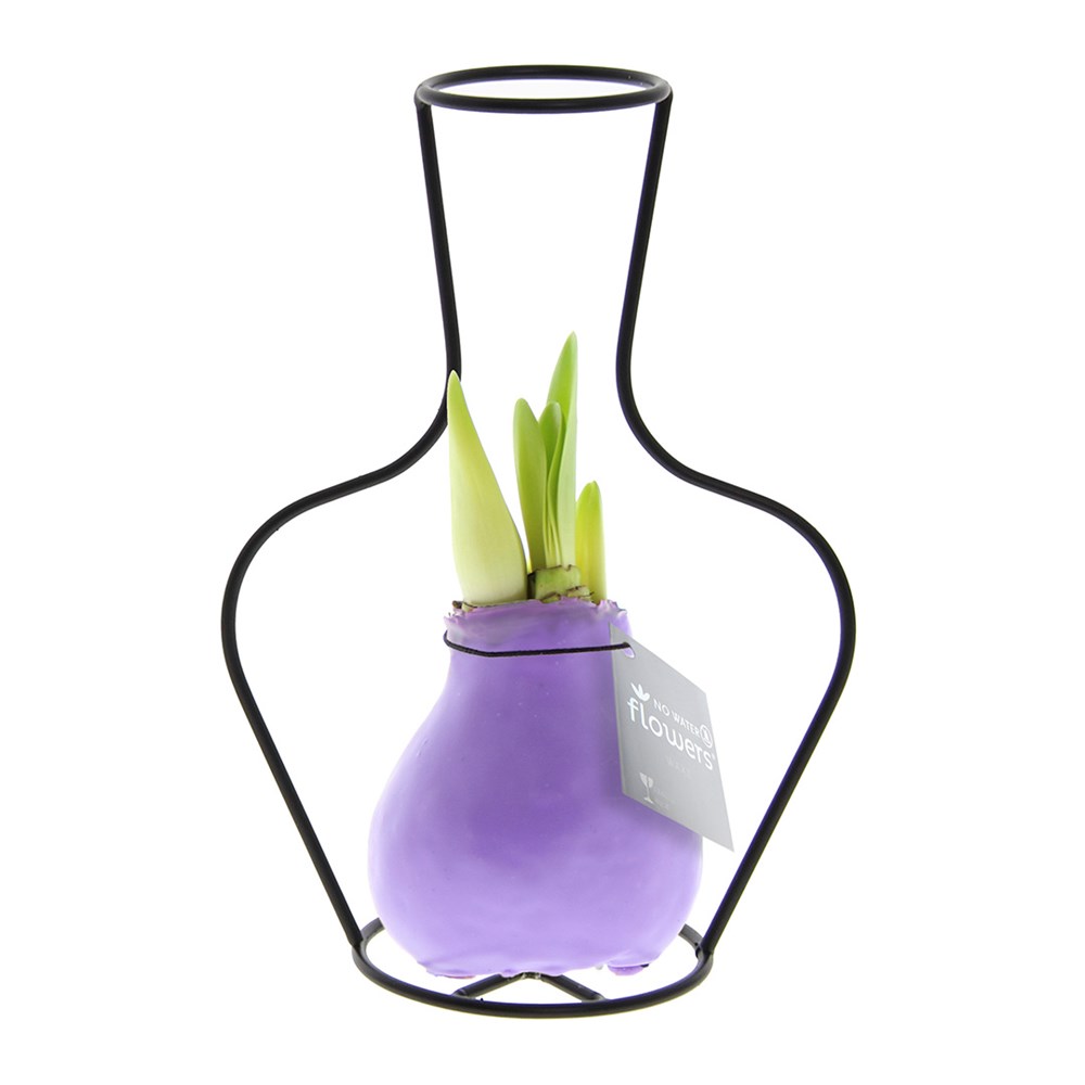 No Water Flowers® - Formz classic - Pastel paars