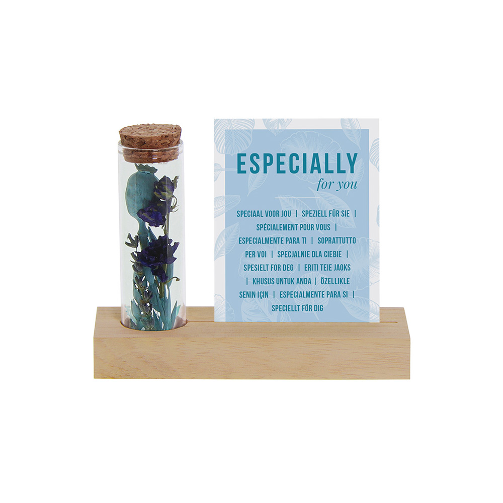 Dried Flowers - Cardholder & tube - Lichtblauw