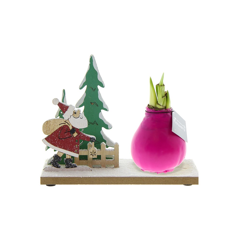 No Water Flowers® - Winter Wonderland - roze