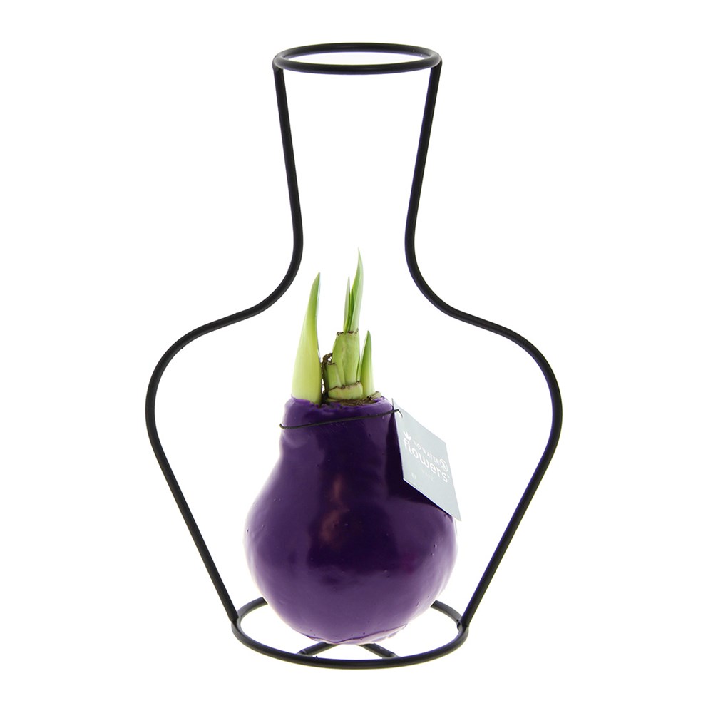 No Water Flowers® - Formz classic - Paars