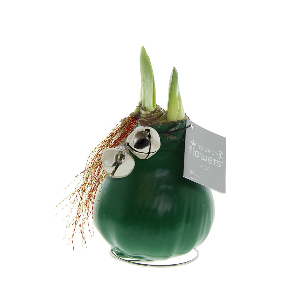 No Water Flowers® - Jingle Bellz - Donkergroen