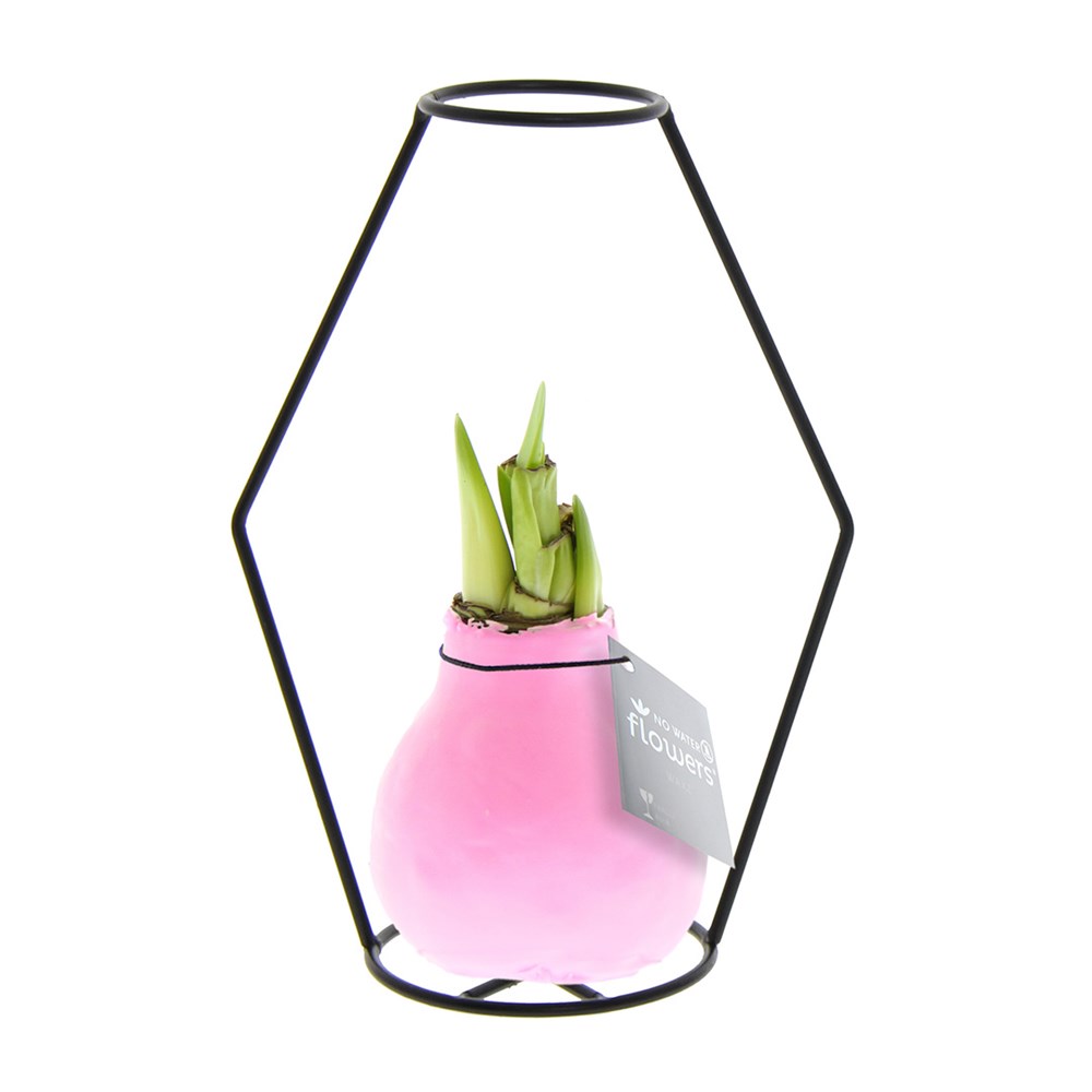 No Water Flowers® - Formz modern - pastel roze