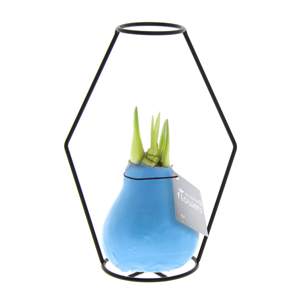 No Water Flowers® - Formz modern - pastel blauw