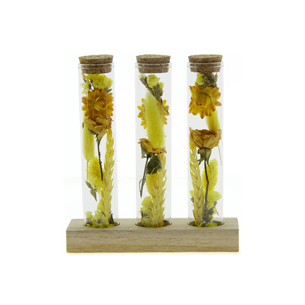 Dried Flowers - Trio tube & wood - geel