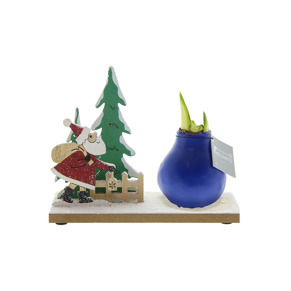 No Water Flowers® - Winter Wonderland - blauw