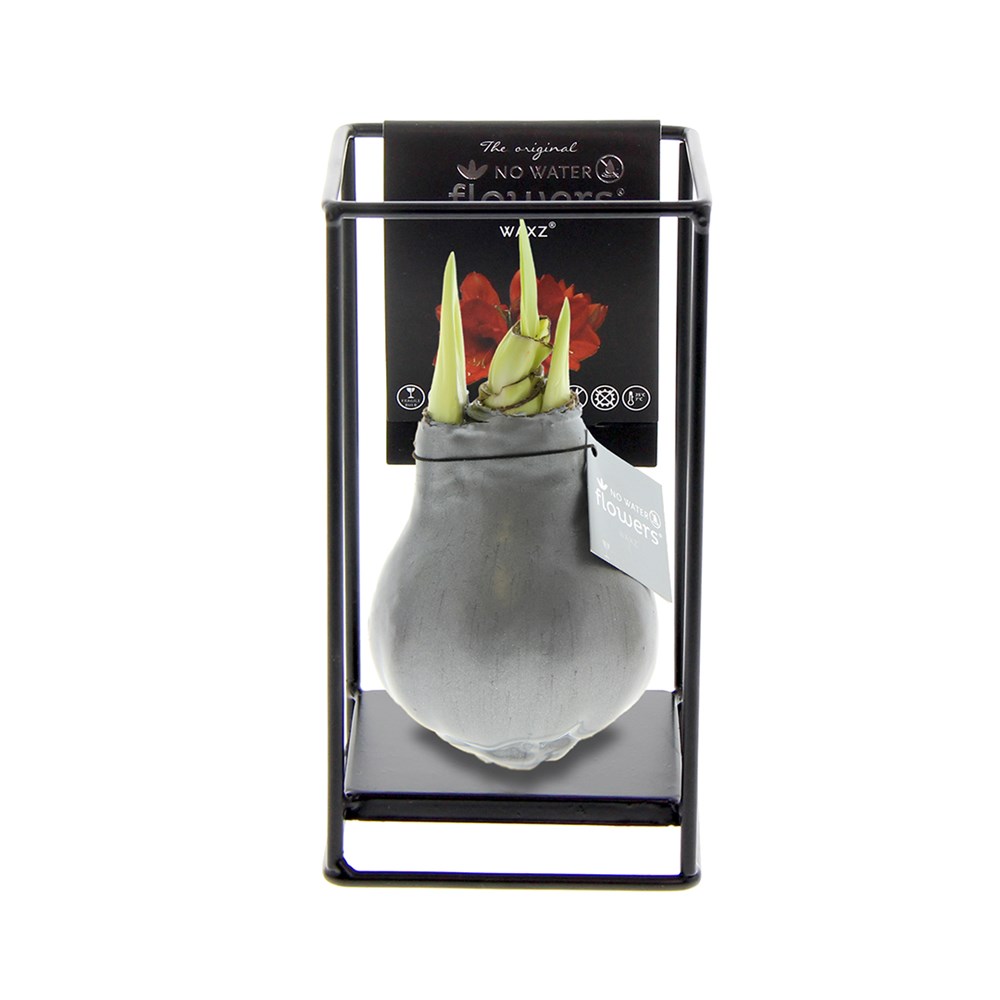 No Water Flowers® - Formz industrial - Zilver
