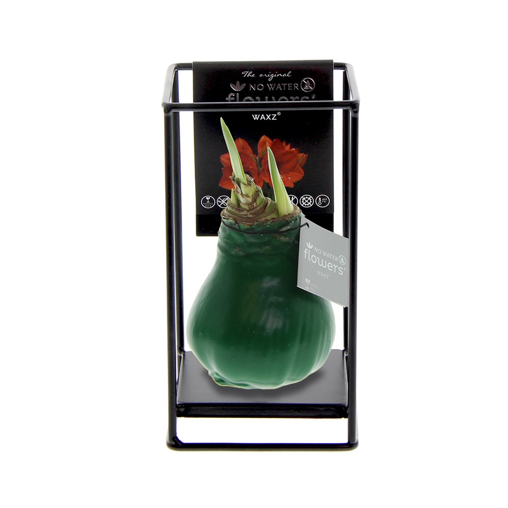 No Water Flowers® - Formz industrial - Donkergroen