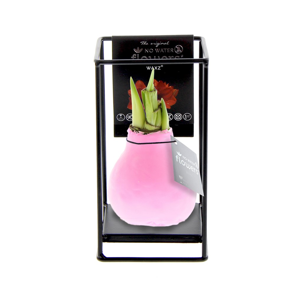 No Water Flowers® - Formz industrial - pastel roze