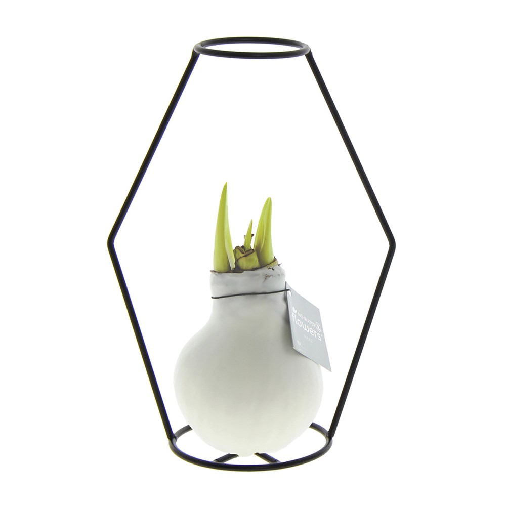 No Water Flowers® - Formz modern - wit